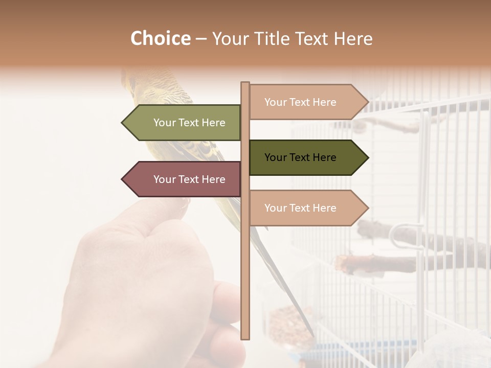 Parrot Cage Tame PowerPoint Template