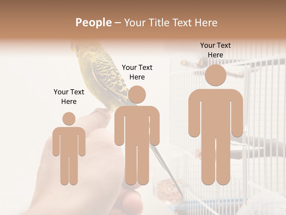 Parrot Cage Tame PowerPoint Template