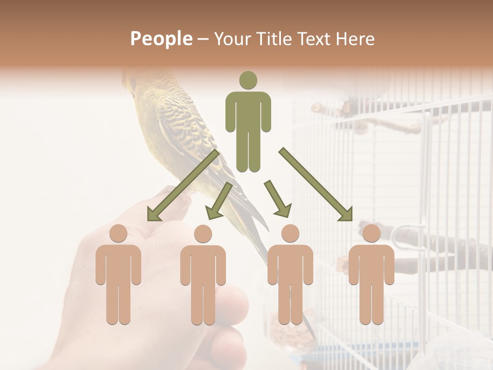 Parrot Cage Tame PowerPoint Template