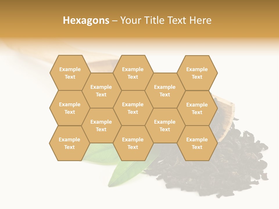 Antioxidant Tannin Herb PowerPoint Template