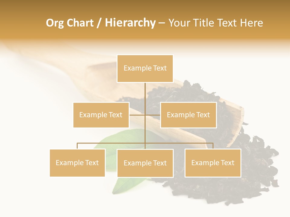 Antioxidant Tannin Herb PowerPoint Template