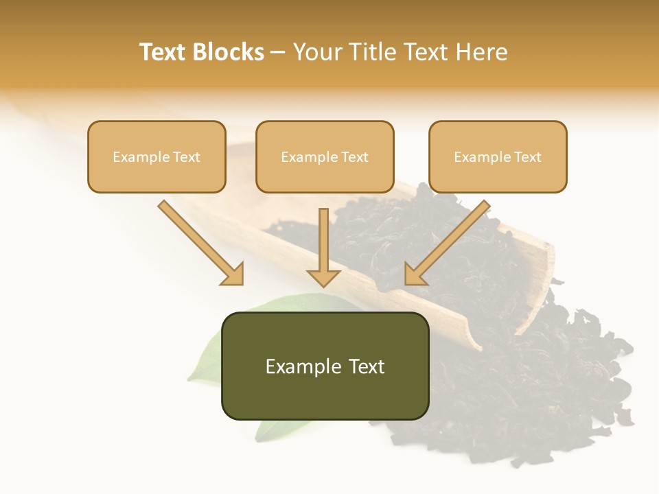 Antioxidant Tannin Herb PowerPoint Template