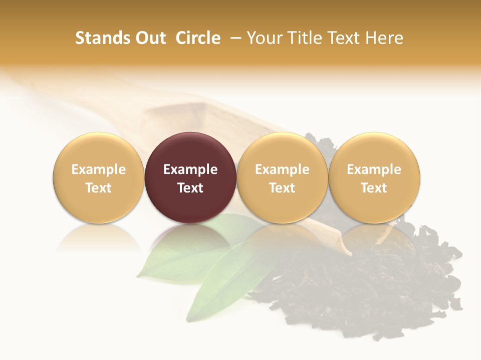 Antioxidant Tannin Herb PowerPoint Template