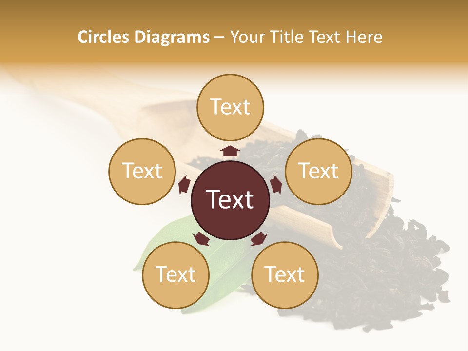 Antioxidant Tannin Herb PowerPoint Template