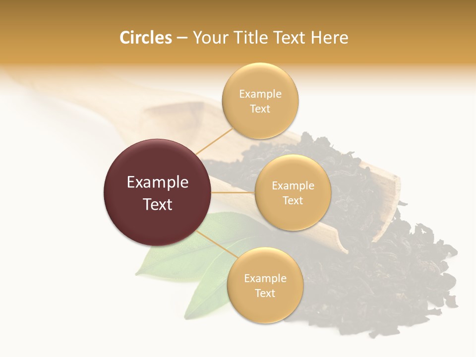 Antioxidant Tannin Herb PowerPoint Template