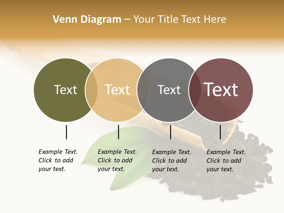 Antioxidant Tannin Herb PowerPoint Template