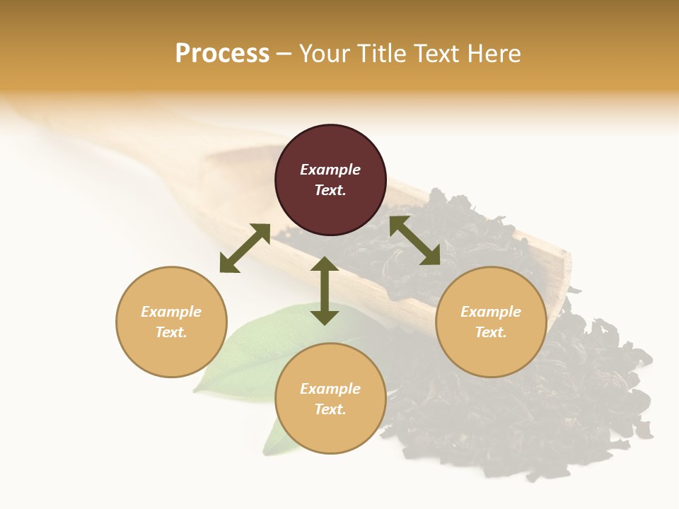 Antioxidant Tannin Herb PowerPoint Template
