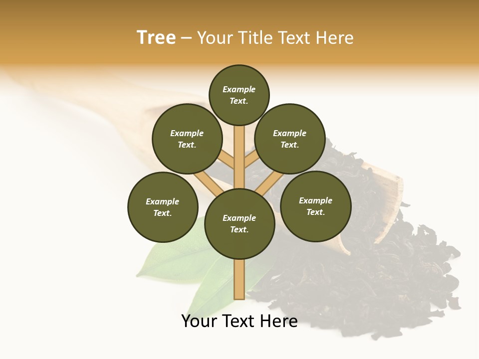 Antioxidant Tannin Herb PowerPoint Template