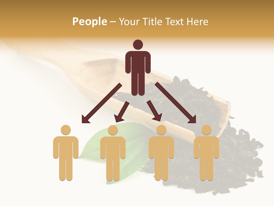 Antioxidant Tannin Herb PowerPoint Template