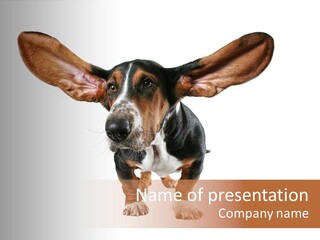 Isolated Humor Tongue PowerPoint Template