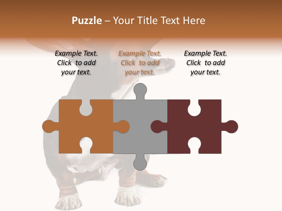 Animal Humor Isolated PowerPoint Template