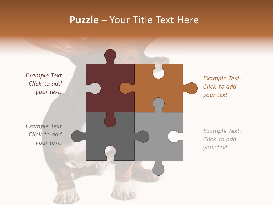 Animal Humor Isolated PowerPoint Template