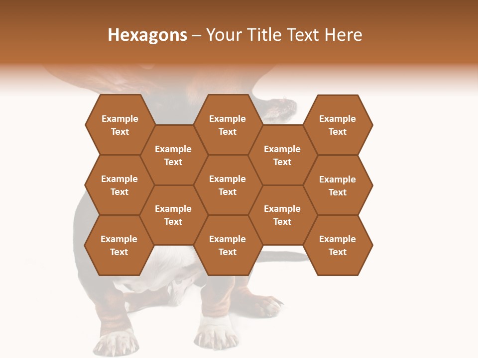 Animal Humor Isolated PowerPoint Template