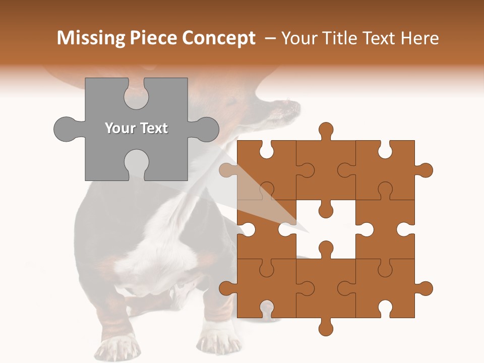 Animal Humor Isolated PowerPoint Template