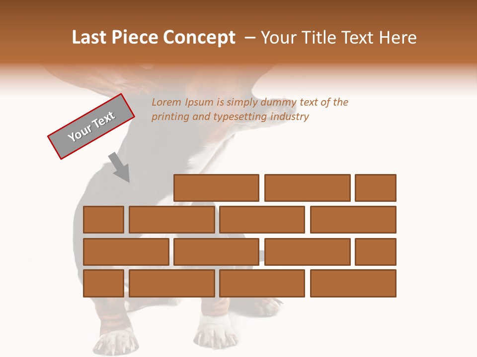 Animal Humor Isolated PowerPoint Template