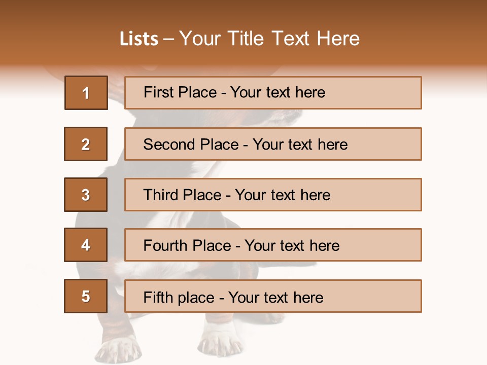 Animal Humor Isolated PowerPoint Template