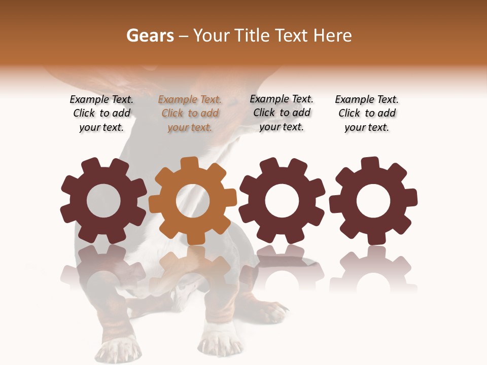 Animal Humor Isolated PowerPoint Template