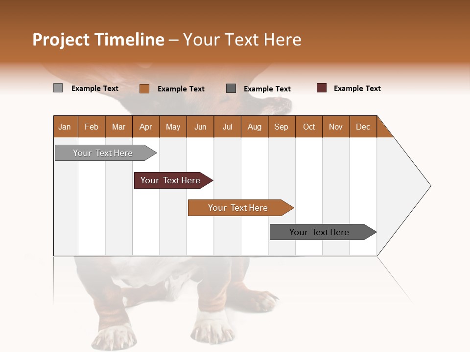 Animal Humor Isolated PowerPoint Template