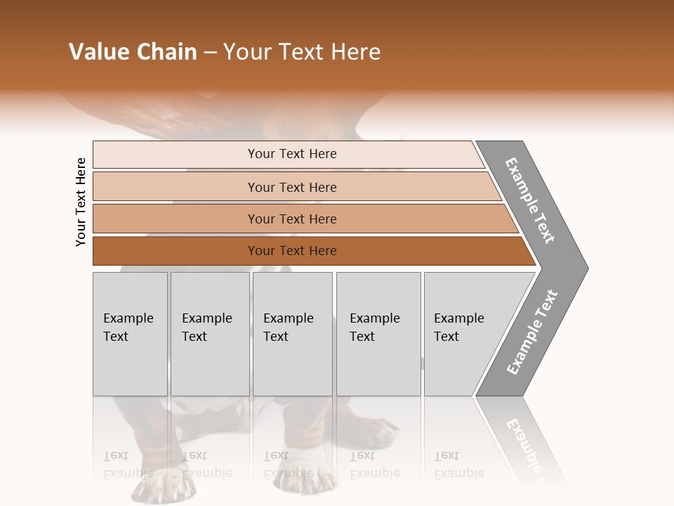 Animal Humor Isolated PowerPoint Template