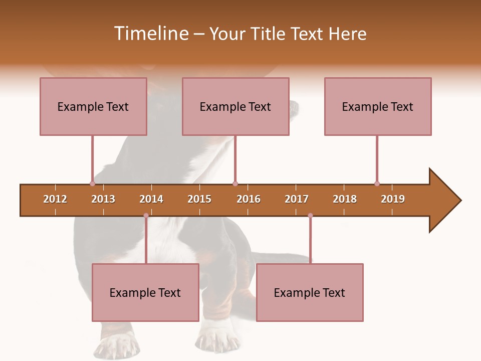 Animal Humor Isolated PowerPoint Template