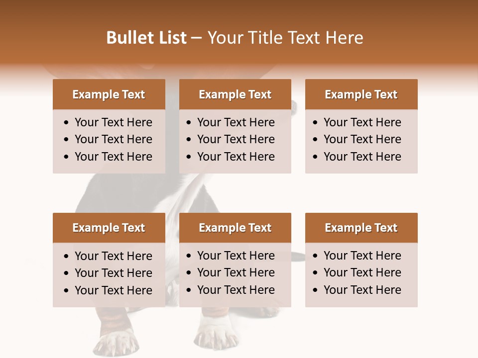 Animal Humor Isolated PowerPoint Template