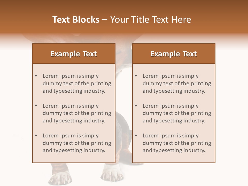 Animal Humor Isolated PowerPoint Template