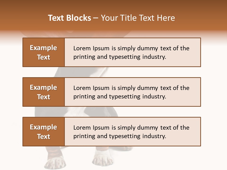 Animal Humor Isolated PowerPoint Template