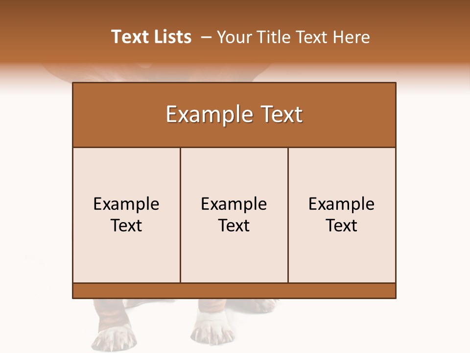Animal Humor Isolated PowerPoint Template
