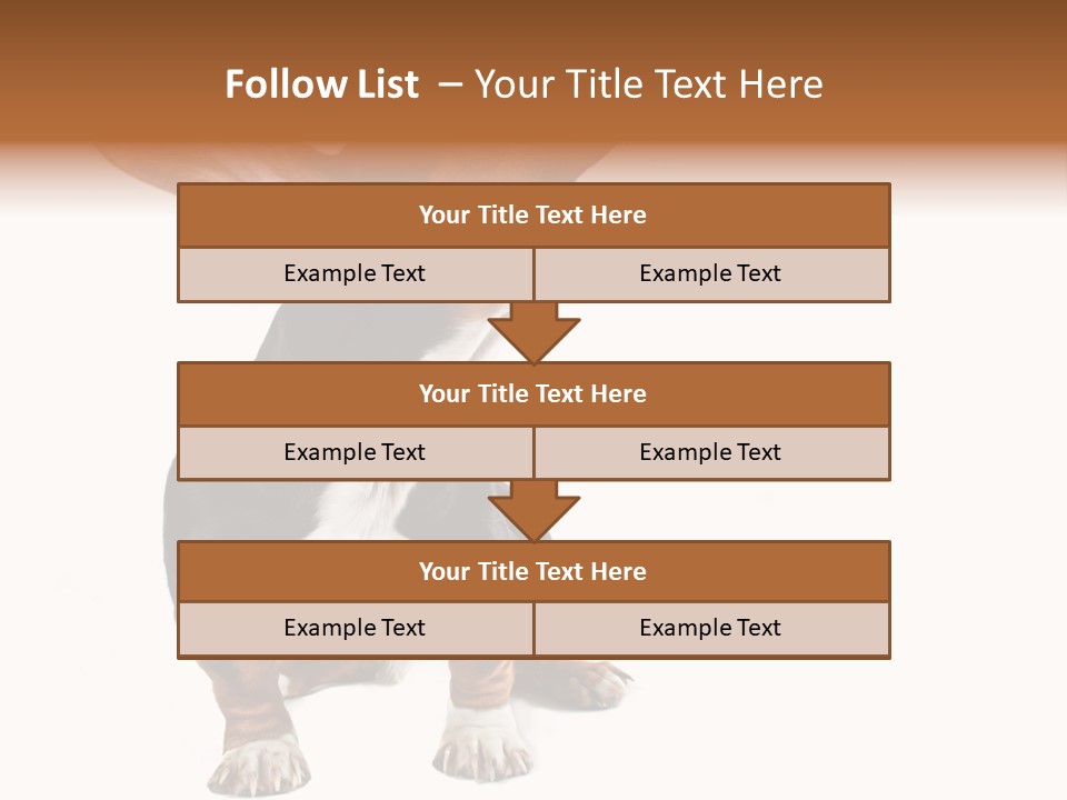 Animal Humor Isolated PowerPoint Template