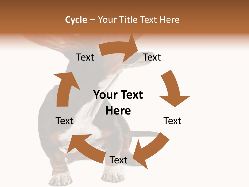 Animal Humor Isolated PowerPoint Template