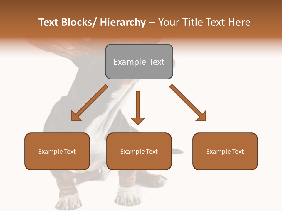 Animal Humor Isolated PowerPoint Template