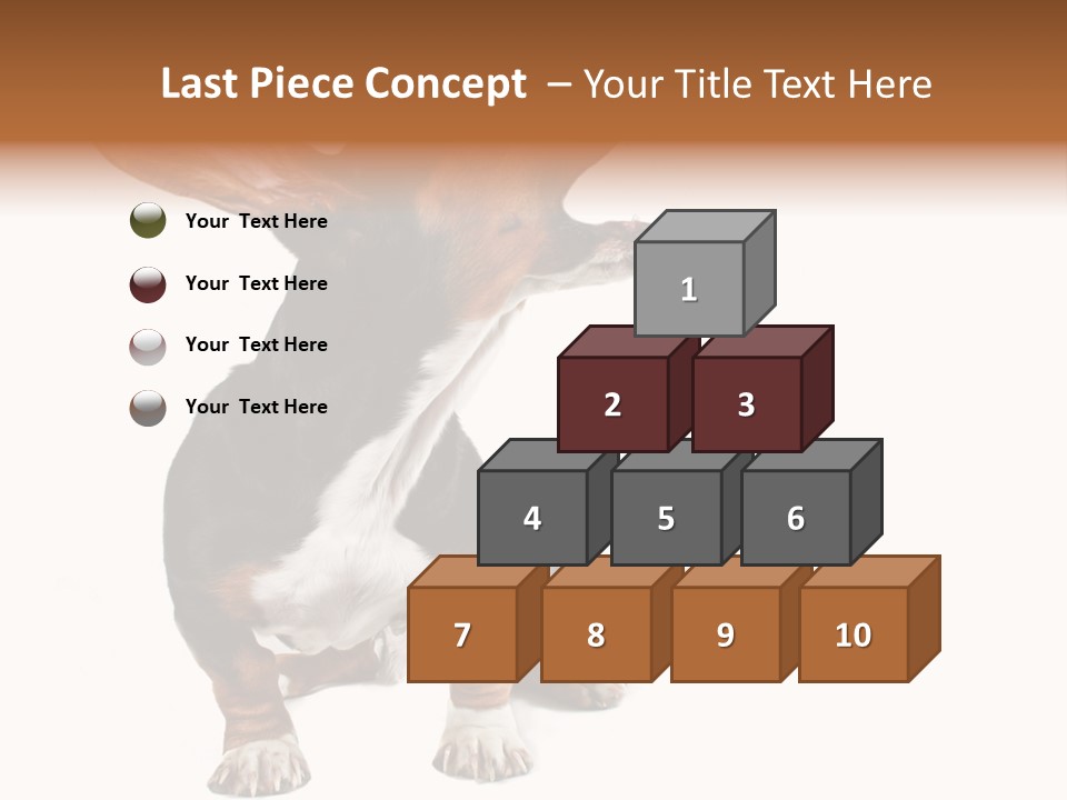 Animal Humor Isolated PowerPoint Template