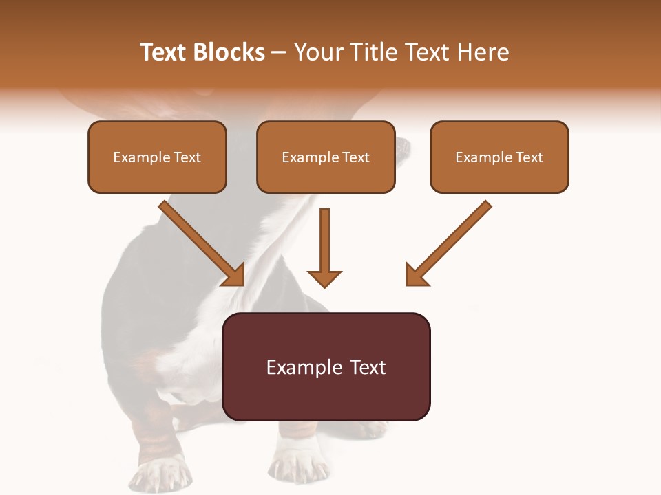 Animal Humor Isolated PowerPoint Template