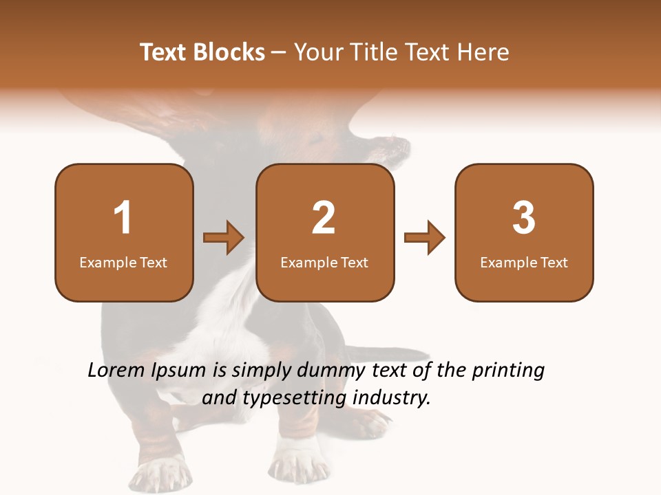 Animal Humor Isolated PowerPoint Template