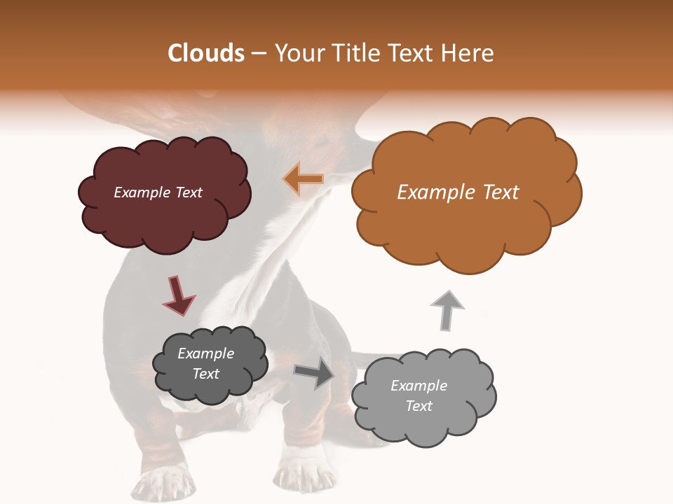 Animal Humor Isolated PowerPoint Template