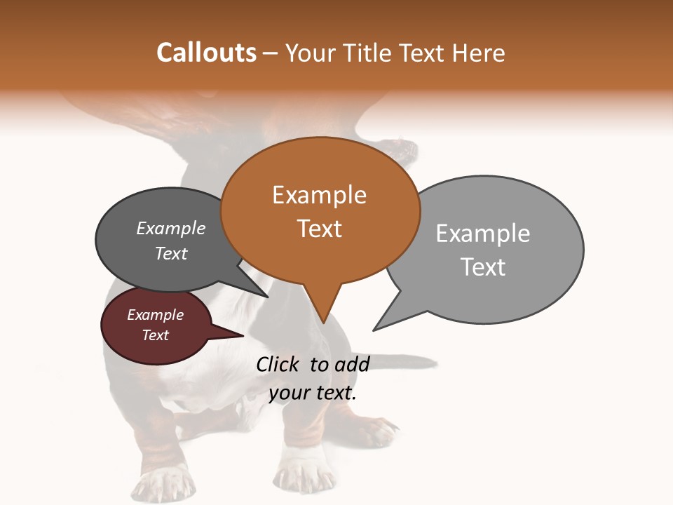 Animal Humor Isolated PowerPoint Template