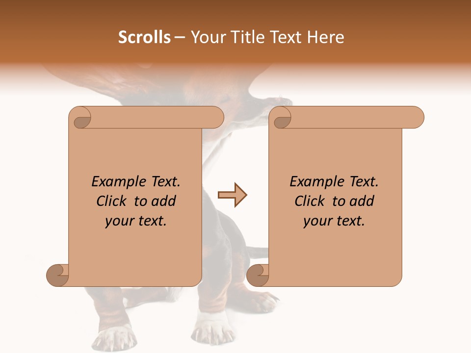 Animal Humor Isolated PowerPoint Template