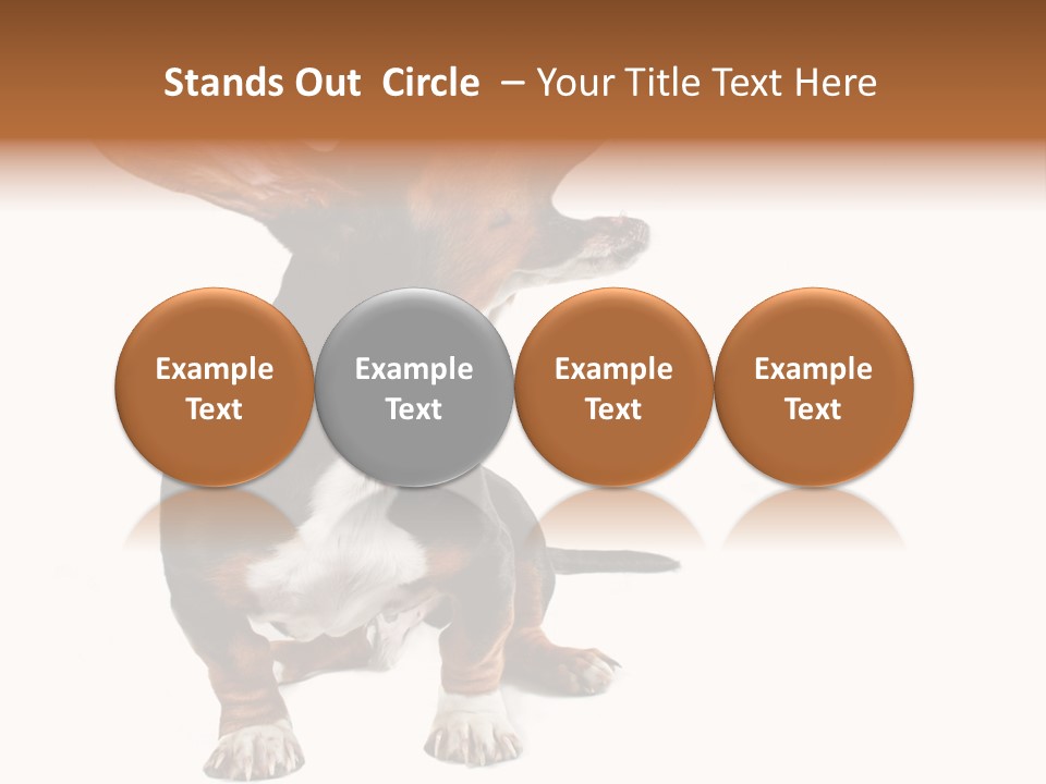 Animal Humor Isolated PowerPoint Template