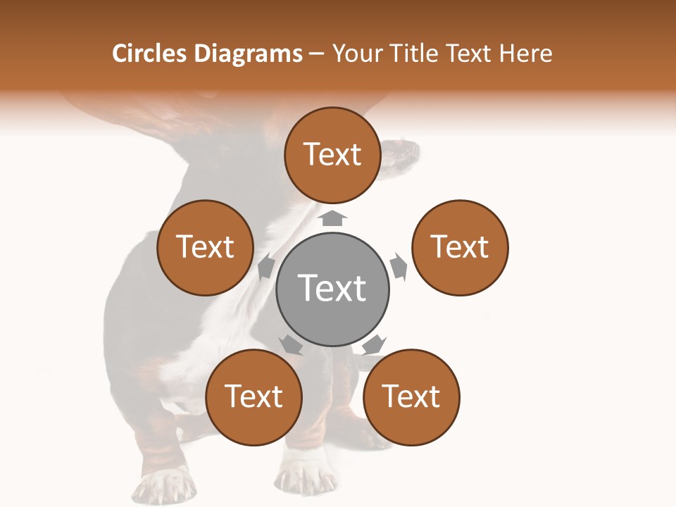 Animal Humor Isolated PowerPoint Template
