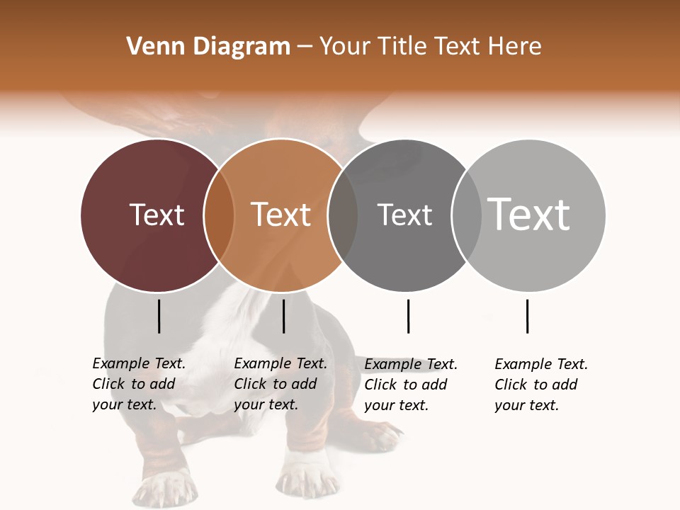 Animal Humor Isolated PowerPoint Template