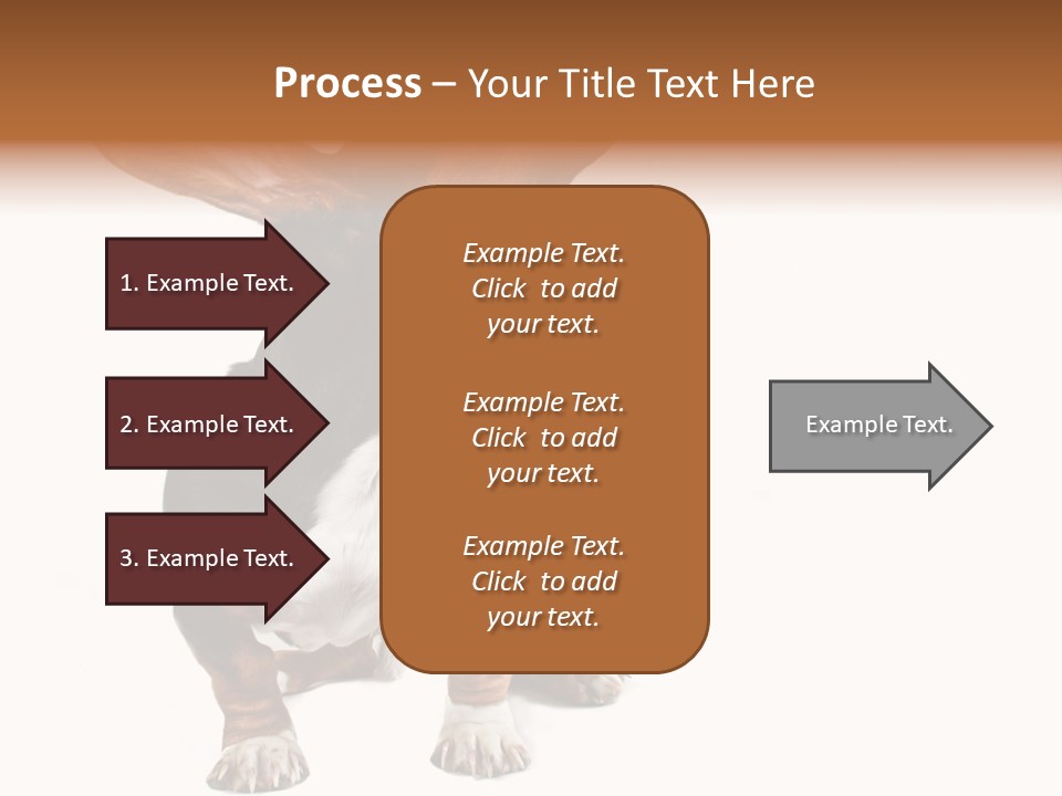 Animal Humor Isolated PowerPoint Template