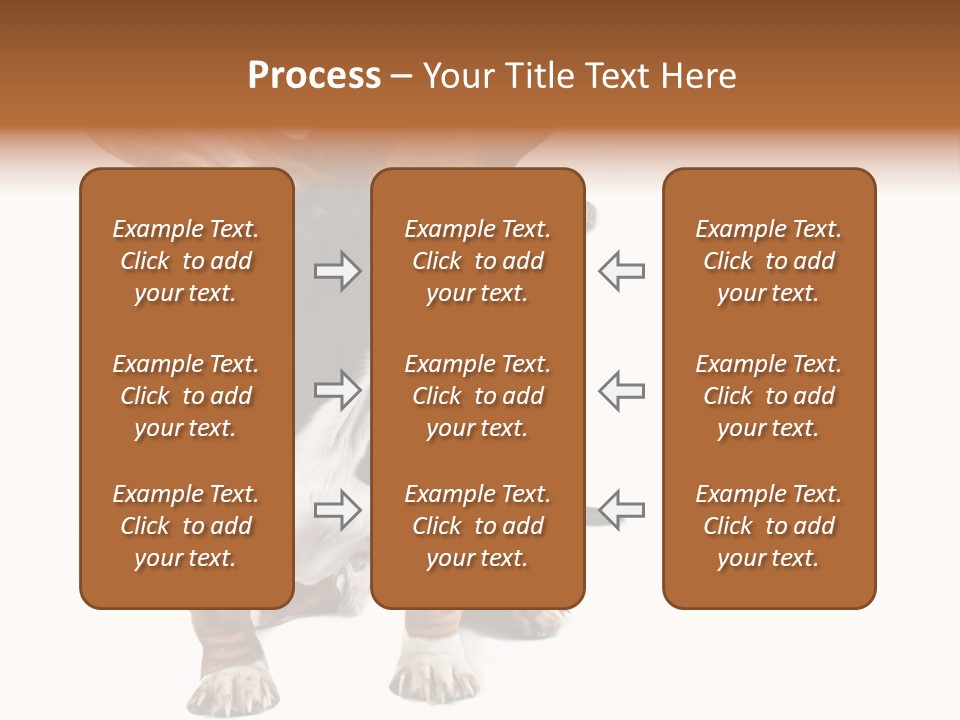 Animal Humor Isolated PowerPoint Template