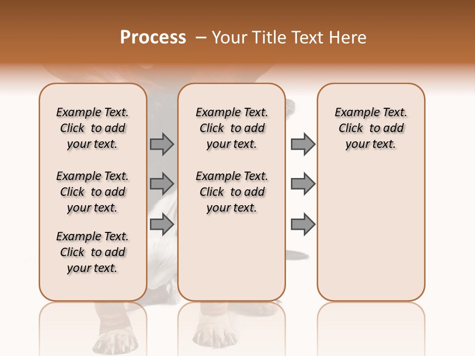 Animal Humor Isolated PowerPoint Template