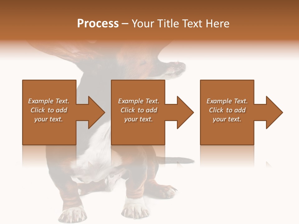 Animal Humor Isolated PowerPoint Template