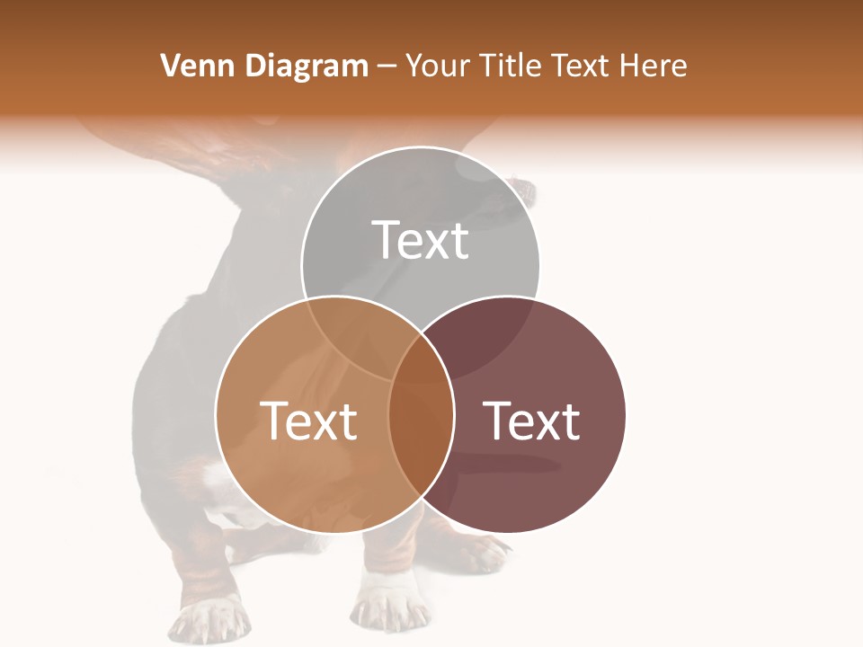 Animal Humor Isolated PowerPoint Template