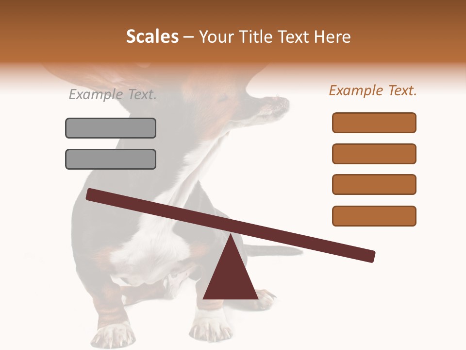 Animal Humor Isolated PowerPoint Template