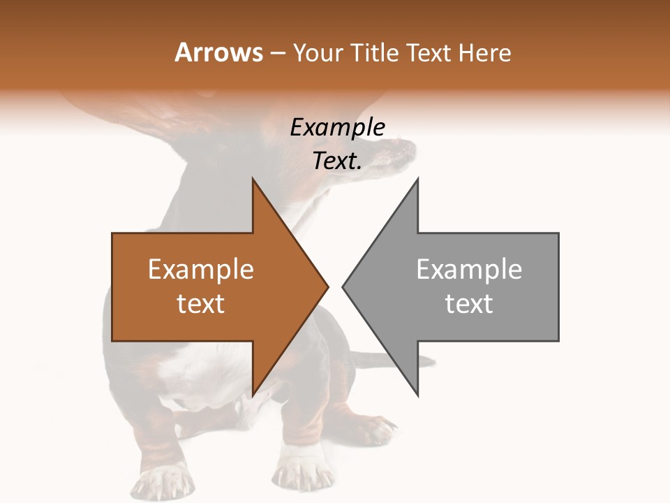 Animal Humor Isolated PowerPoint Template