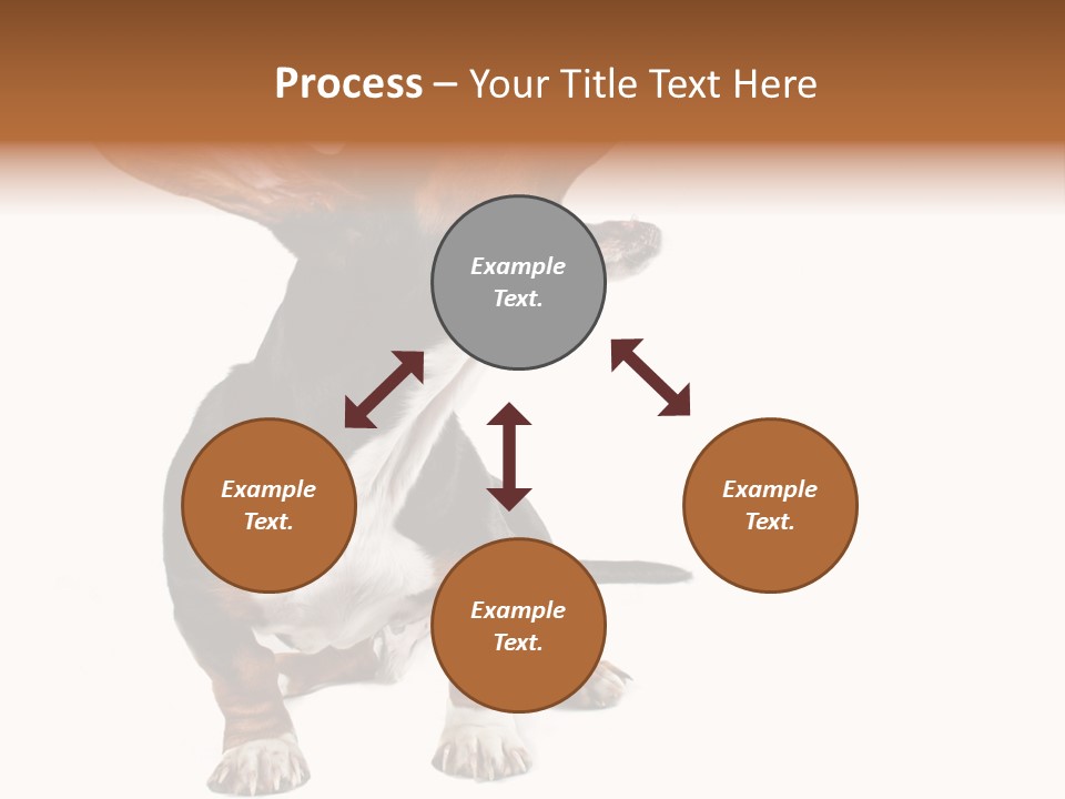 Animal Humor Isolated PowerPoint Template