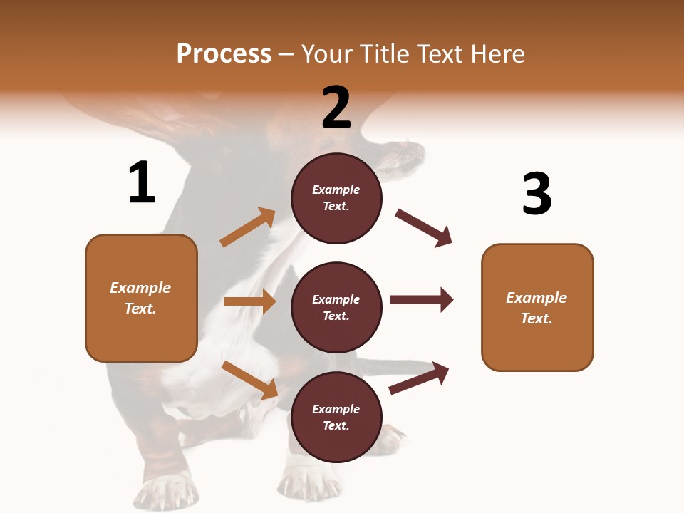 Animal Humor Isolated PowerPoint Template