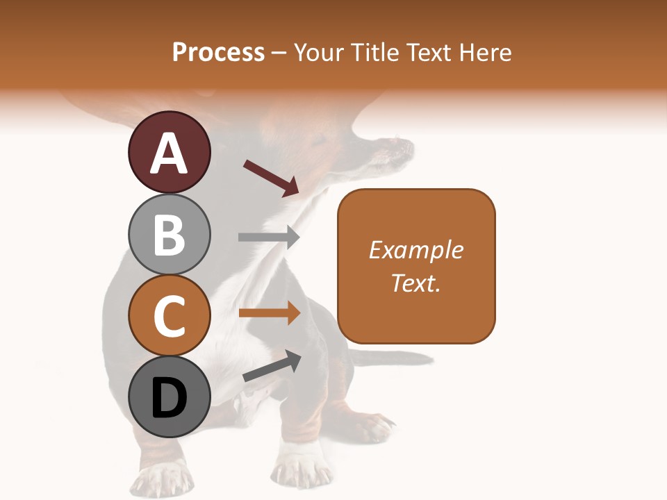 Animal Humor Isolated PowerPoint Template